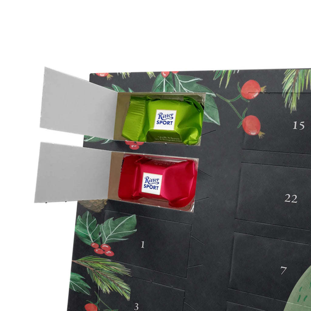 Chocolate advent calendar cactus mummy cactus, cactuses, plants, small green cactus, cactus plant, cactus love, cacti, office life, school, quota, annoyance