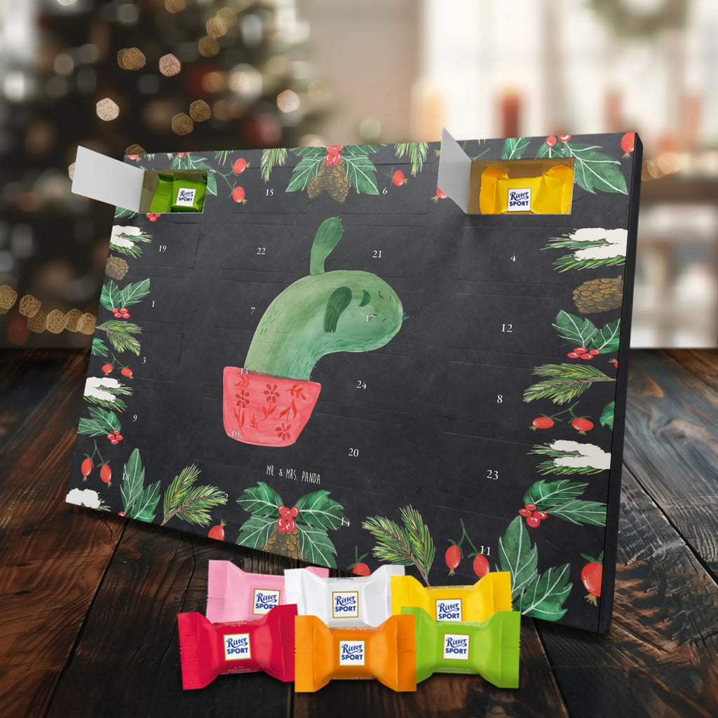 Chocolate advent calendar cactus mummy cactus, cactuses, plants, small green cactus, cactus plant, cactus love, cacti, office life, school, quota, annoyance