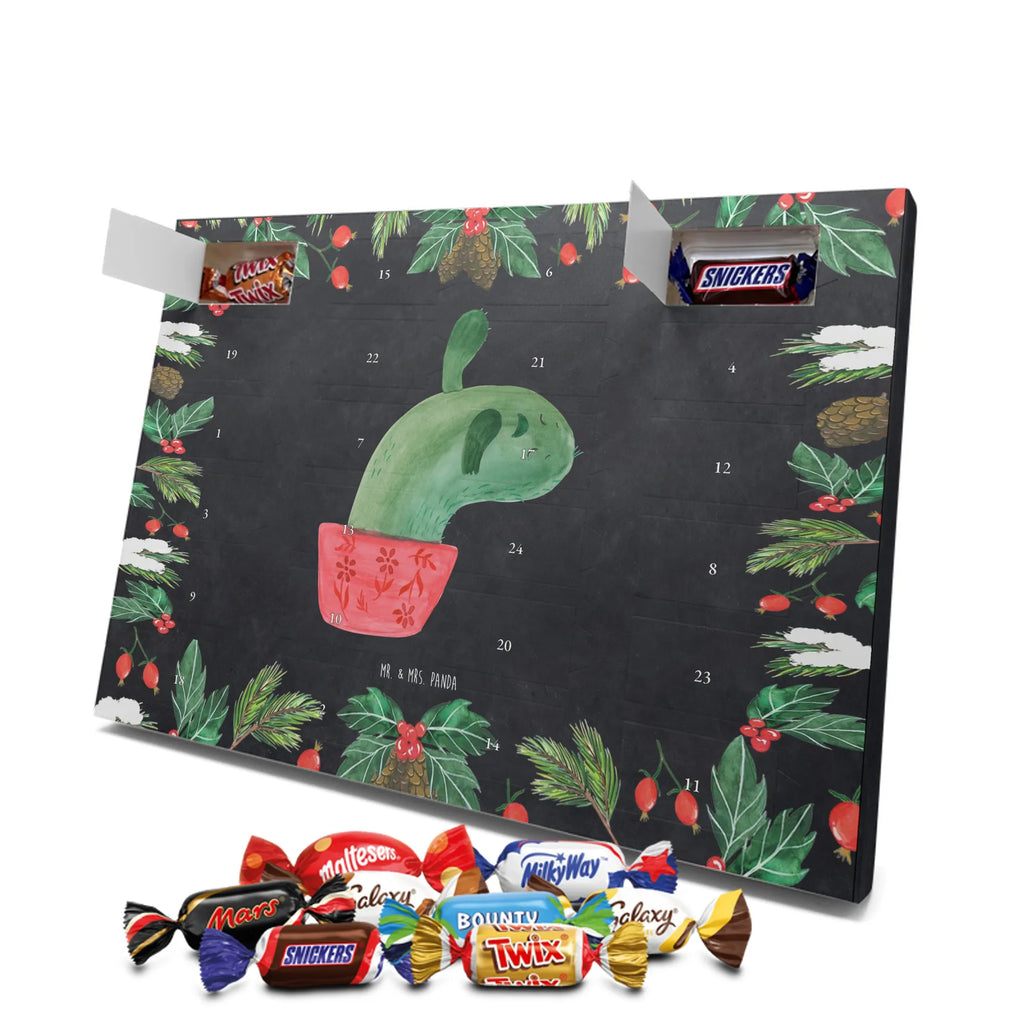 Chocolate advent calendar cactus mummy cactus, cactuses, plants, small green cactus, cactus plant, cactus love, cacti, office life, school, quota, annoyance