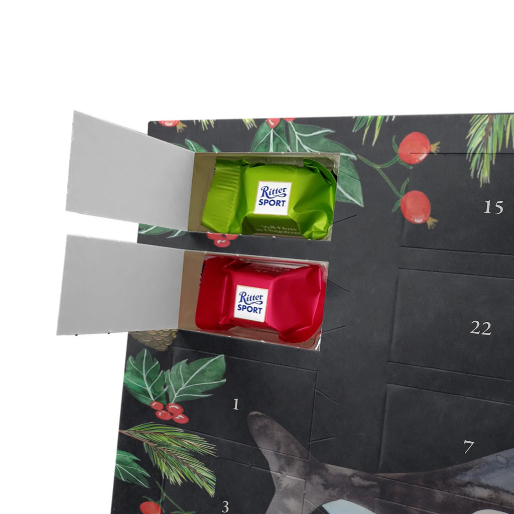 Chocolate advent calendar Orca manatee, vacation, aquatic animals, deep sea, underwater animals, seafood fans, underwater world, seafood posters, seafood decoration, whale, reef, water world, lobster, sea urchin, gift ideas, shrimp, narwhal, corals, gifts for seafood lovers, platypus, crocodile, shells, Seafood, ocean, self-love, new start, work, killer whale, opportunities