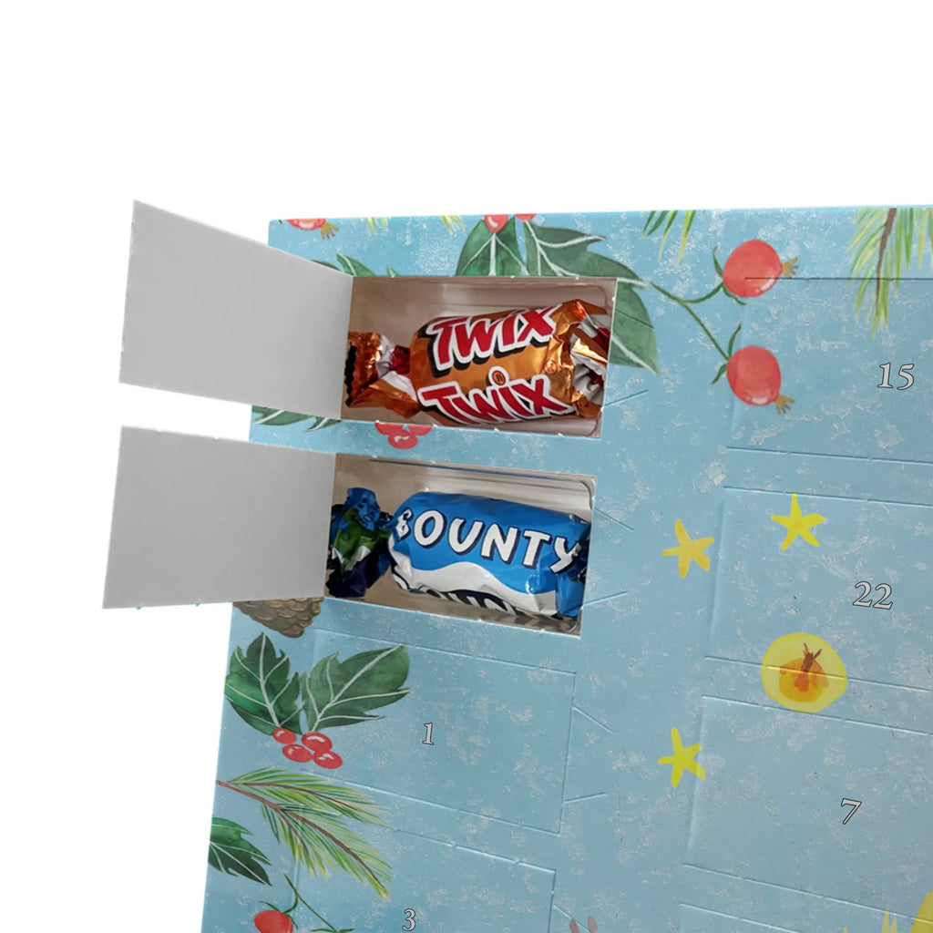 Chocolate advent calendar Bear & Ladybird campfire cuddly toy, teddy bear, Campfire