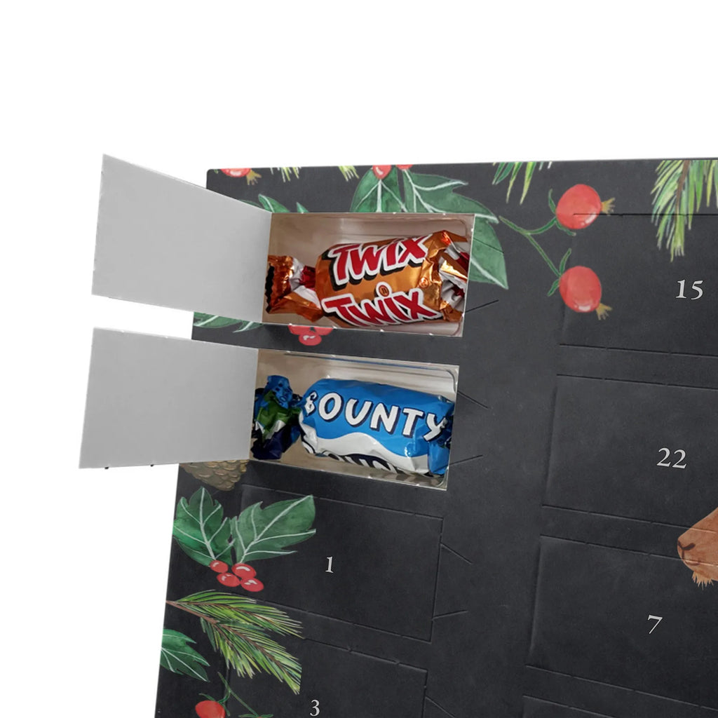 Schoko-Adventskalender Sternzeichen Steinbock Adventskalender Schokolade, Adventskalender, Schokoladen-Weihnachtskalender, Weihnachten Adventskalender, Schokoladen Adventskalender, kalender schokolade, schokolade adventskalender, adventskalender süßigkeiten, adventskalender pralinen, Schokoladen-Adventskalender, schokoladen kalender, pralinen adventskalender, schokokalender, schokoladenkalender, Weihnachtskalender, süßigkeiten adventskalender, schoko weihnachtskalender, Weihnachtskalender Schokolade, kalender weihnachten, Weihnachts Kalender, Schoko Adventskalender, schoko kalender, adventskalender schoko, süßigkeiten kalender, Schoko-Adventskalender, weihnachtskalender schoko, Horoskop, Astrologie, Sternzeichen, Aszendent, Tierkreiszeichen, Geschenk Januar, Geburtstag Dezember, Bock, Geburtstag Januar, Steinbock Sternzeichen, Ziege, Steinbock Geschenk, Geschenk Dezember, Steinböcke