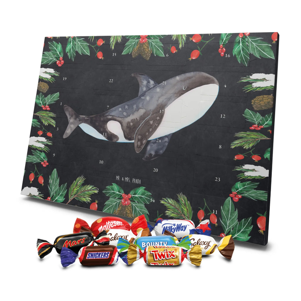 Chocolate advent calendar Orca manatee, vacation, aquatic animals, deep sea, underwater animals, seafood fans, underwater world, seafood posters, seafood decoration, whale, reef, water world, lobster, sea urchin, gift ideas, shrimp, narwhal, corals, gifts for seafood lovers, platypus, crocodile, shells, Seafood, ocean, self-love, new start, work, killer whale, opportunities