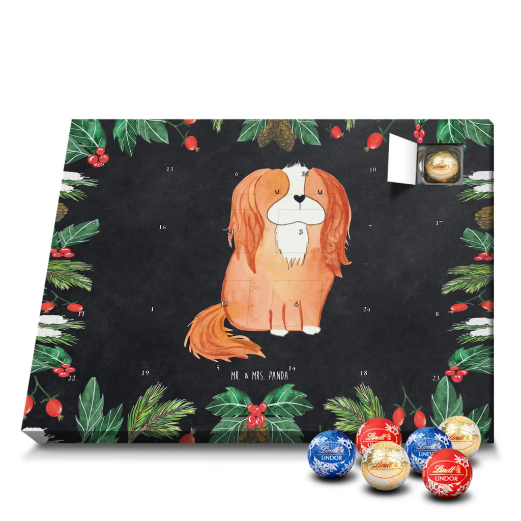 süßigkeiten adventskalender Hund Cavalier King Charles Spaniel Schokoladen-Adventskalender, kalender schokolade, süßigkeiten adventskalender, Weihnachtskalender, Schoko-Adventskalender, pralinen adventskalender, süßigkeiten kalender, Weihnachtskalender Schokolade, Schokoladen Adventskalender, adventskalender schoko, schoko kalender, Schokoladen-Weihnachtskalender, Weihnachts Kalender, schokoladenkalender, schokoladen kalender, adventskalender süßigkeiten, adventskalender pralinen, schokolade adventskalender, Adventskalender Schokolade, kalender weihnachten, Weihnachten Adventskalender, weihnachtskalender schoko, Adventskalender, schoko weihnachtskalender, schokokalender, Schoko Adventskalender, Tierliebhaber, Hundebesitzer, Hunderasse, Haustier, Hund, Sprüche, Hundemotiv, Spaniel, Spruch, Cavalier King Charles Spaniel, Cockerspaniel, Schönster Hund