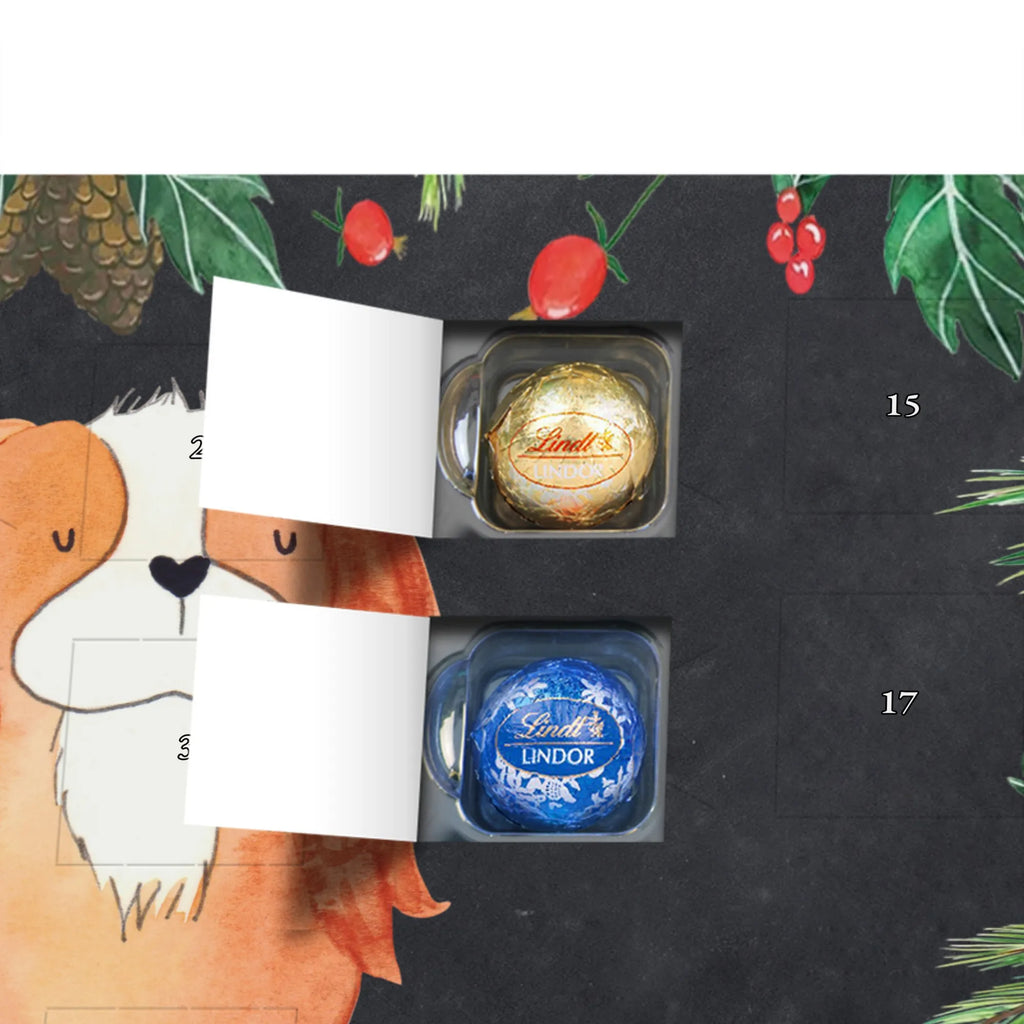 süßigkeiten adventskalender Hund Cavalier King Charles Spaniel Schokoladen-Adventskalender, kalender schokolade, süßigkeiten adventskalender, Weihnachtskalender, Schoko-Adventskalender, pralinen adventskalender, süßigkeiten kalender, Weihnachtskalender Schokolade, Schokoladen Adventskalender, adventskalender schoko, schoko kalender, Schokoladen-Weihnachtskalender, Weihnachts Kalender, schokoladenkalender, schokoladen kalender, adventskalender süßigkeiten, adventskalender pralinen, schokolade adventskalender, Adventskalender Schokolade, kalender weihnachten, Weihnachten Adventskalender, weihnachtskalender schoko, Adventskalender, schoko weihnachtskalender, schokokalender, Schoko Adventskalender, Tierliebhaber, Hundebesitzer, Hunderasse, Haustier, Hund, Sprüche, Hundemotiv, Spaniel, Spruch, Cavalier King Charles Spaniel, Cockerspaniel, Schönster Hund