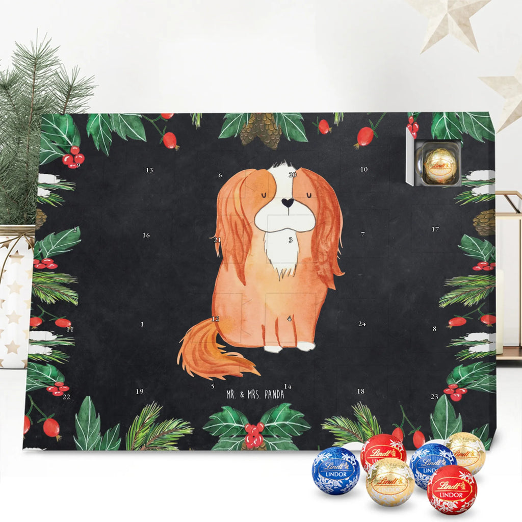 süßigkeiten adventskalender Hund Cavalier King Charles Spaniel Schokoladen-Adventskalender, kalender schokolade, süßigkeiten adventskalender, Weihnachtskalender, Schoko-Adventskalender, pralinen adventskalender, süßigkeiten kalender, Weihnachtskalender Schokolade, Schokoladen Adventskalender, adventskalender schoko, schoko kalender, Schokoladen-Weihnachtskalender, Weihnachts Kalender, schokoladenkalender, schokoladen kalender, adventskalender süßigkeiten, adventskalender pralinen, schokolade adventskalender, Adventskalender Schokolade, kalender weihnachten, Weihnachten Adventskalender, weihnachtskalender schoko, Adventskalender, schoko weihnachtskalender, schokokalender, Schoko Adventskalender, Tierliebhaber, Hundebesitzer, Hunderasse, Haustier, Hund, Sprüche, Hundemotiv, Spaniel, Spruch, Cavalier King Charles Spaniel, Cockerspaniel, Schönster Hund