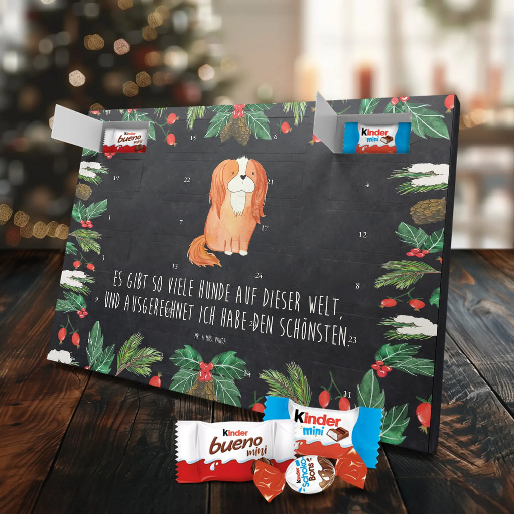 süßigkeiten adventskalender Hund Cavalier King Charles Spaniel Schokoladen-Adventskalender, kalender schokolade, süßigkeiten adventskalender, Weihnachtskalender, Schoko-Adventskalender, pralinen adventskalender, süßigkeiten kalender, Weihnachtskalender Schokolade, Schokoladen Adventskalender, adventskalender schoko, schoko kalender, Schokoladen-Weihnachtskalender, Weihnachts Kalender, schokoladenkalender, schokoladen kalender, adventskalender süßigkeiten, adventskalender pralinen, schokolade adventskalender, Adventskalender Schokolade, kalender weihnachten, Weihnachten Adventskalender, weihnachtskalender schoko, Adventskalender, schoko weihnachtskalender, schokokalender, Schoko Adventskalender, Tierliebhaber, Hundebesitzer, Hunderasse, Haustier, Hund, Sprüche, Hundemotiv, Spaniel, Spruch, Cavalier King Charles Spaniel, Cockerspaniel, Schönster Hund