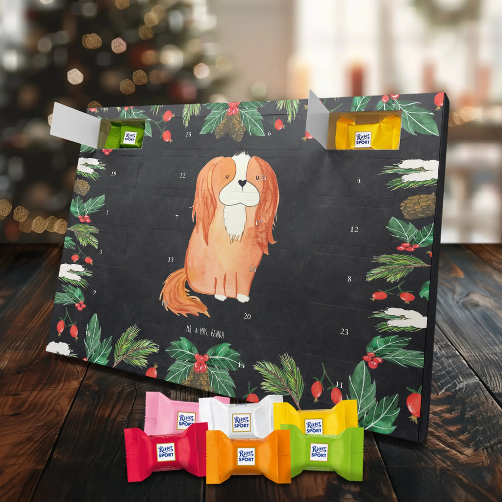 süßigkeiten adventskalender Hund Cavalier King Charles Spaniel Schokoladen-Adventskalender, kalender schokolade, süßigkeiten adventskalender, Weihnachtskalender, Schoko-Adventskalender, pralinen adventskalender, süßigkeiten kalender, Weihnachtskalender Schokolade, Schokoladen Adventskalender, adventskalender schoko, schoko kalender, Schokoladen-Weihnachtskalender, Weihnachts Kalender, schokoladenkalender, schokoladen kalender, adventskalender süßigkeiten, adventskalender pralinen, schokolade adventskalender, Adventskalender Schokolade, kalender weihnachten, Weihnachten Adventskalender, weihnachtskalender schoko, Adventskalender, schoko weihnachtskalender, schokokalender, Schoko Adventskalender, Tierliebhaber, Hundebesitzer, Hunderasse, Haustier, Hund, Sprüche, Hundemotiv, Spaniel, Spruch, Cavalier King Charles Spaniel, Cockerspaniel, Schönster Hund
