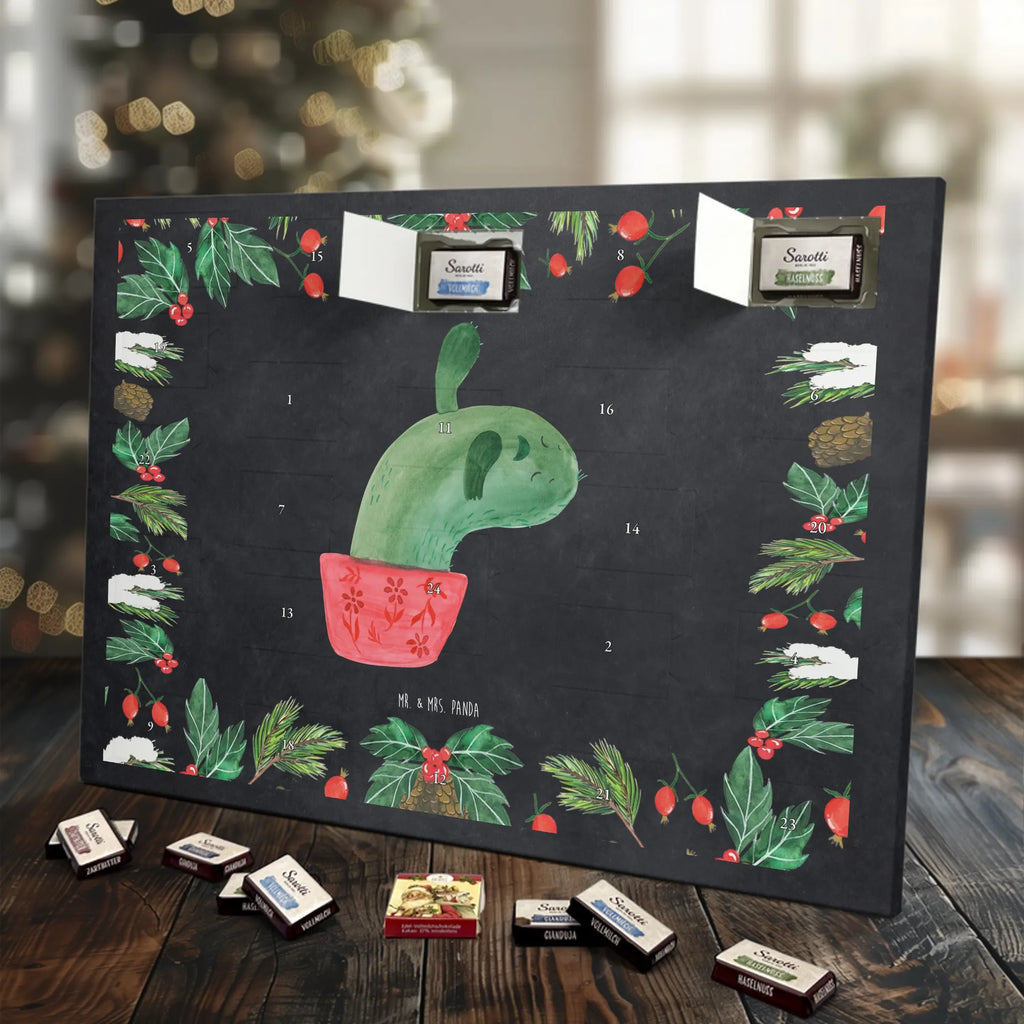 Chocolate advent calendar cactus mummy cactus, cactuses, plants, small green cactus, cactus plant, cactus love, cacti, office life, school, quota, annoyance