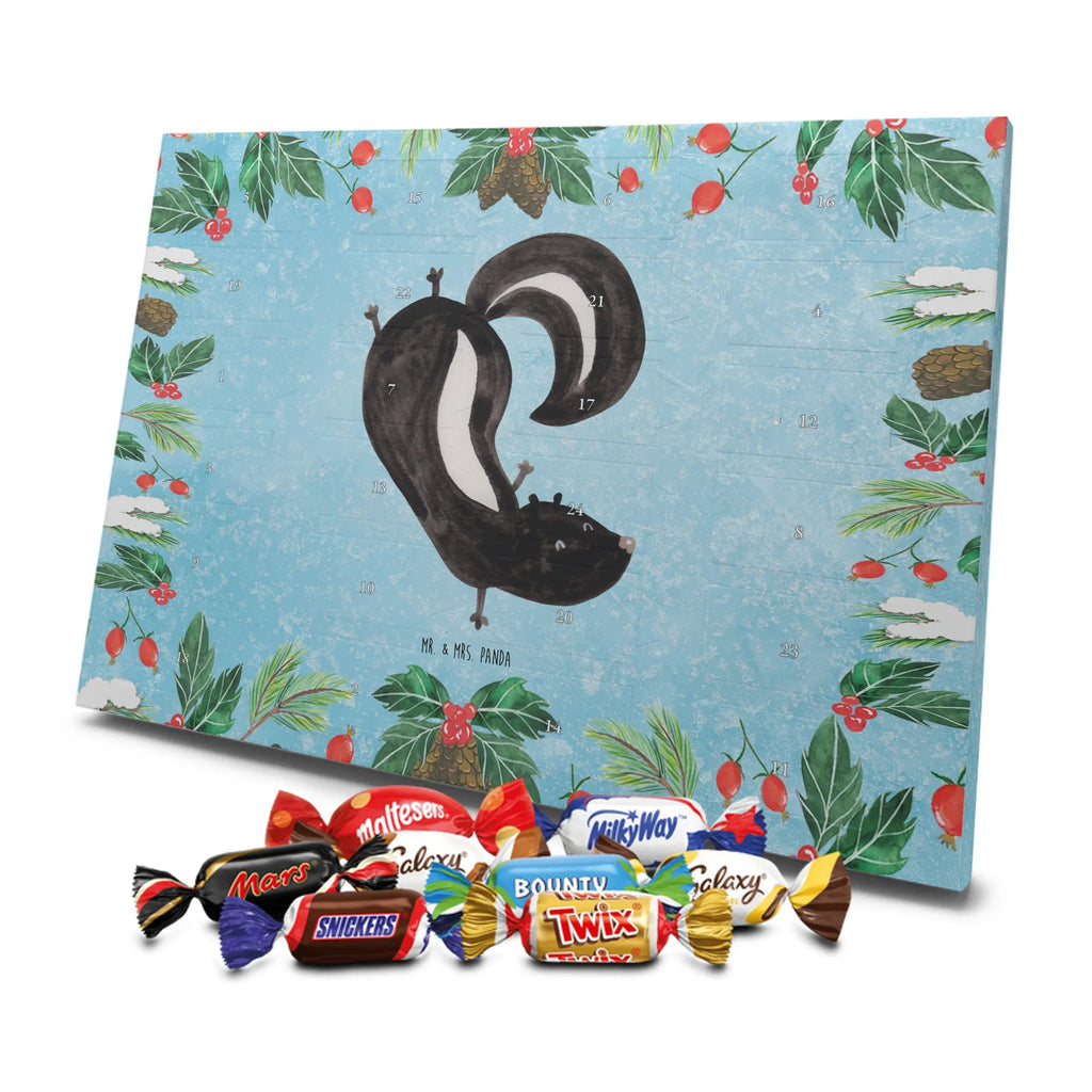 Chocolate advent calendar skunk handstand child, stink, playful, playground, wild animal, predator