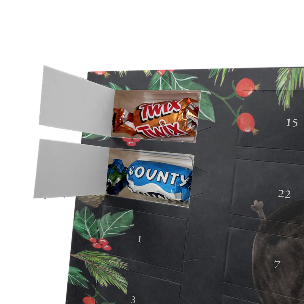 Chocolate advent calendar skunk handstand child, stink, playful, playground, wild animal, predator
