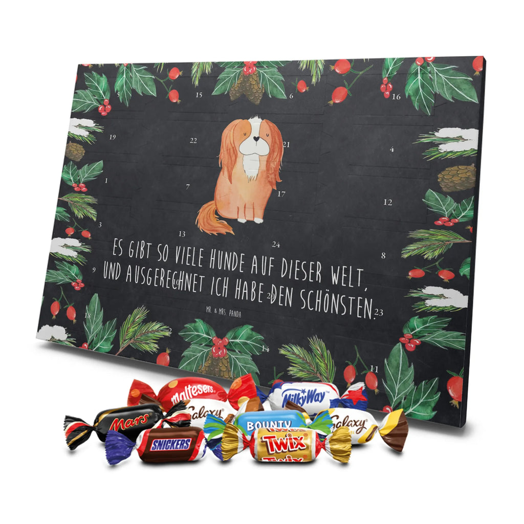 süßigkeiten adventskalender Hund Cavalier King Charles Spaniel Schokoladen-Adventskalender, kalender schokolade, süßigkeiten adventskalender, Weihnachtskalender, Schoko-Adventskalender, pralinen adventskalender, süßigkeiten kalender, Weihnachtskalender Schokolade, Schokoladen Adventskalender, adventskalender schoko, schoko kalender, Schokoladen-Weihnachtskalender, Weihnachts Kalender, schokoladenkalender, schokoladen kalender, adventskalender süßigkeiten, adventskalender pralinen, schokolade adventskalender, Adventskalender Schokolade, kalender weihnachten, Weihnachten Adventskalender, weihnachtskalender schoko, Adventskalender, schoko weihnachtskalender, schokokalender, Schoko Adventskalender, Tierliebhaber, Hundebesitzer, Hunderasse, Haustier, Hund, Sprüche, Hundemotiv, Spaniel, Spruch, Cavalier King Charles Spaniel, Cockerspaniel, Schönster Hund