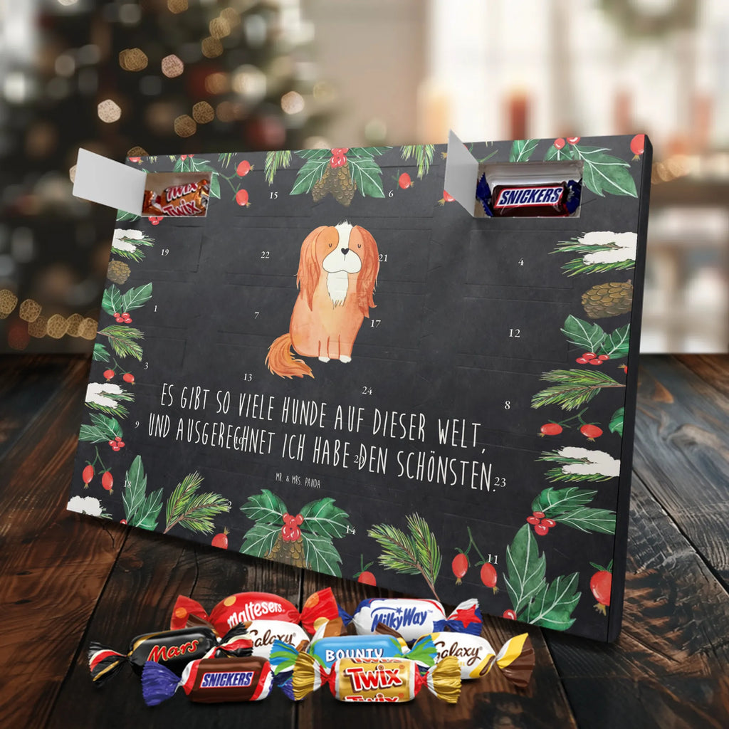 süßigkeiten adventskalender Hund Cavalier King Charles Spaniel Schokoladen-Adventskalender, kalender schokolade, süßigkeiten adventskalender, Weihnachtskalender, Schoko-Adventskalender, pralinen adventskalender, süßigkeiten kalender, Weihnachtskalender Schokolade, Schokoladen Adventskalender, adventskalender schoko, schoko kalender, Schokoladen-Weihnachtskalender, Weihnachts Kalender, schokoladenkalender, schokoladen kalender, adventskalender süßigkeiten, adventskalender pralinen, schokolade adventskalender, Adventskalender Schokolade, kalender weihnachten, Weihnachten Adventskalender, weihnachtskalender schoko, Adventskalender, schoko weihnachtskalender, schokokalender, Schoko Adventskalender, Tierliebhaber, Hundebesitzer, Hunderasse, Haustier, Hund, Sprüche, Hundemotiv, Spaniel, Spruch, Cavalier King Charles Spaniel, Cockerspaniel, Schönster Hund