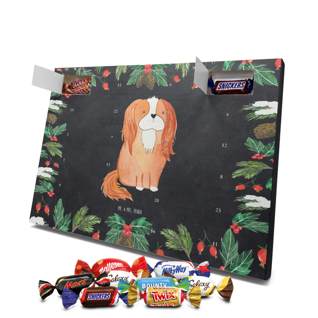 süßigkeiten adventskalender Hund Cavalier King Charles Spaniel Schokoladen-Adventskalender, kalender schokolade, süßigkeiten adventskalender, Weihnachtskalender, Schoko-Adventskalender, pralinen adventskalender, süßigkeiten kalender, Weihnachtskalender Schokolade, Schokoladen Adventskalender, adventskalender schoko, schoko kalender, Schokoladen-Weihnachtskalender, Weihnachts Kalender, schokoladenkalender, schokoladen kalender, adventskalender süßigkeiten, adventskalender pralinen, schokolade adventskalender, Adventskalender Schokolade, kalender weihnachten, Weihnachten Adventskalender, weihnachtskalender schoko, Adventskalender, schoko weihnachtskalender, schokokalender, Schoko Adventskalender, Tierliebhaber, Hundebesitzer, Hunderasse, Haustier, Hund, Sprüche, Hundemotiv, Spaniel, Spruch, Cavalier King Charles Spaniel, Cockerspaniel, Schönster Hund