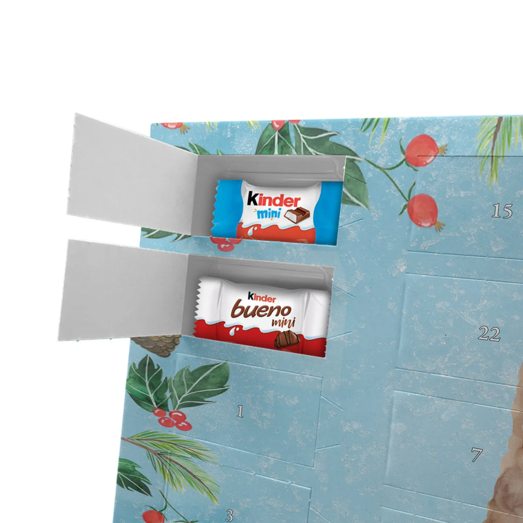 Chocolate advent calendar alpaca banner pako, camel, llama, animal, alpaca, favourite animal, Peru, alpacas, Alpaca, llamas