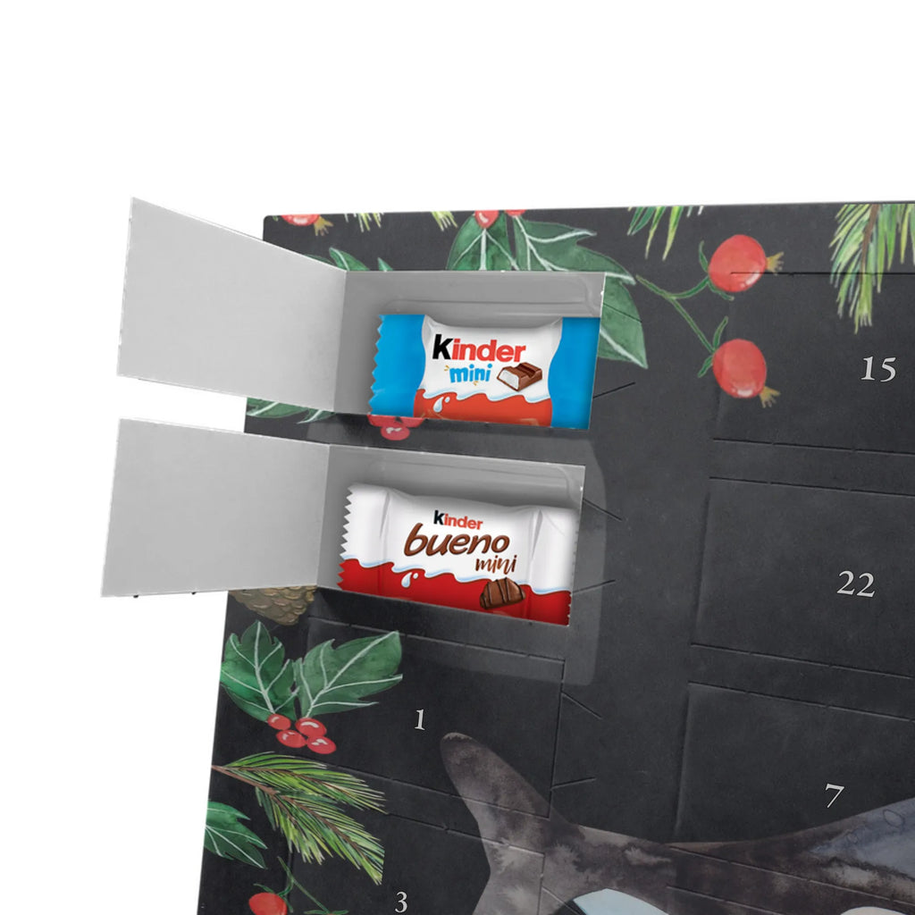 Chocolate advent calendar Orca manatee, vacation, aquatic animals, deep sea, underwater animals, seafood fans, underwater world, seafood posters, seafood decoration, whale, reef, water world, lobster, sea urchin, gift ideas, shrimp, narwhal, corals, gifts for seafood lovers, platypus, crocodile, shells, Seafood, ocean, self-love, new start, work, killer whale, opportunities
