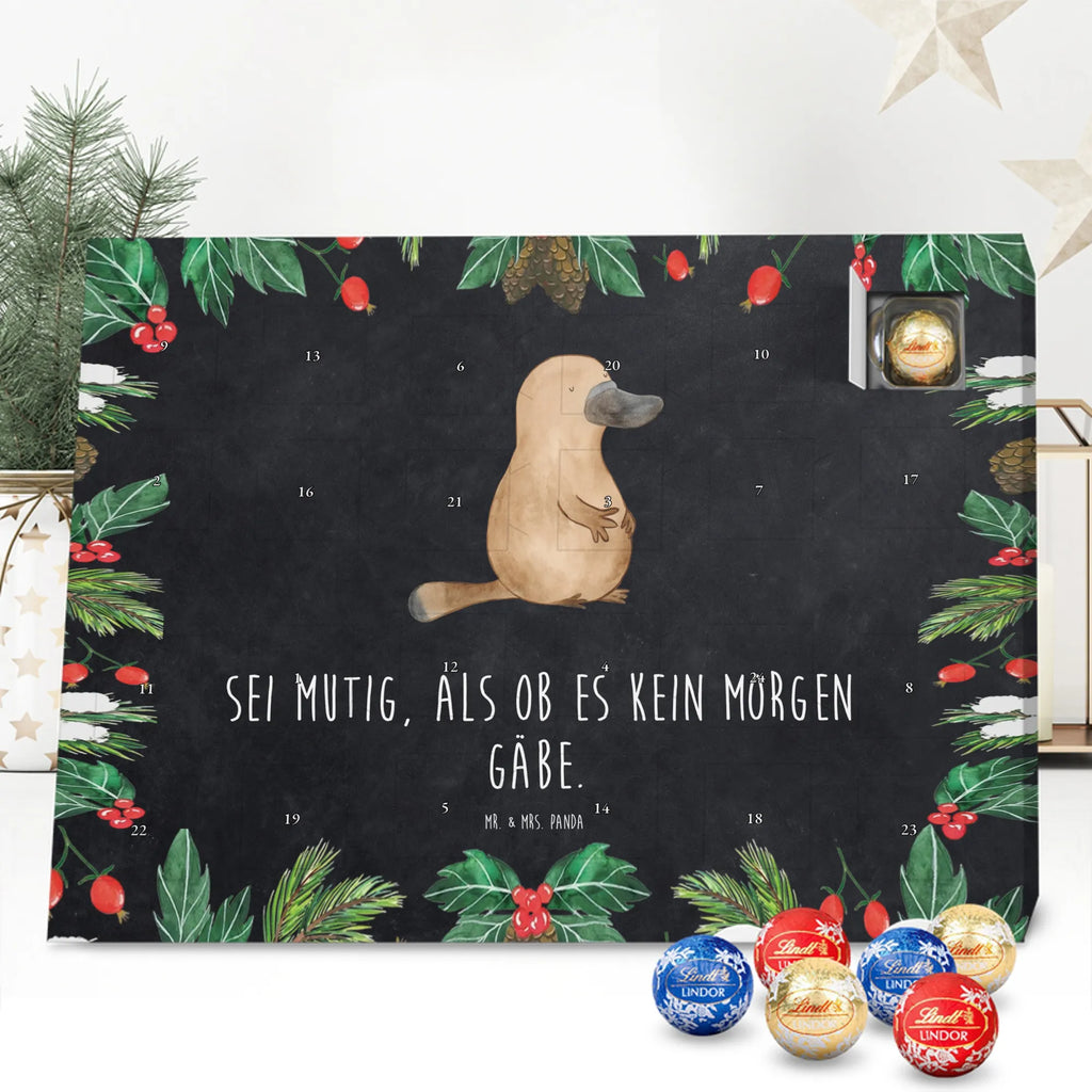 Chocolate advent calendar platypus courage manatee, vacation, aquatic animals, deep sea, underwater animals, seafood fans, underwater world, seafood posters, seafood decoration, whale, reef, water world, lobster, sea urchin, gift ideas, shrimp, narwhal, corals, gifts for seafood lovers, platypus, crocodile, shells, Seafood, ocean, work, Platypus, brave, new beginning, world trip, wisdom, courage, new start
