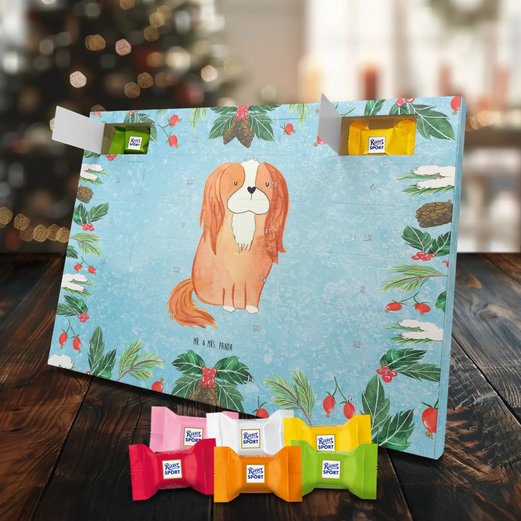 süßigkeiten adventskalender Hund Cavalier King Charles Spaniel Schokoladen-Adventskalender, kalender schokolade, süßigkeiten adventskalender, Weihnachtskalender, Schoko-Adventskalender, pralinen adventskalender, süßigkeiten kalender, Weihnachtskalender Schokolade, Schokoladen Adventskalender, adventskalender schoko, schoko kalender, Schokoladen-Weihnachtskalender, Weihnachts Kalender, schokoladenkalender, schokoladen kalender, adventskalender süßigkeiten, adventskalender pralinen, schokolade adventskalender, Adventskalender Schokolade, kalender weihnachten, Weihnachten Adventskalender, weihnachtskalender schoko, Adventskalender, schoko weihnachtskalender, schokokalender, Schoko Adventskalender, Tierliebhaber, Hundebesitzer, Hunderasse, Haustier, Hund, Sprüche, Hundemotiv, Spaniel, Spruch, Cavalier King Charles Spaniel, Cockerspaniel, Schönster Hund