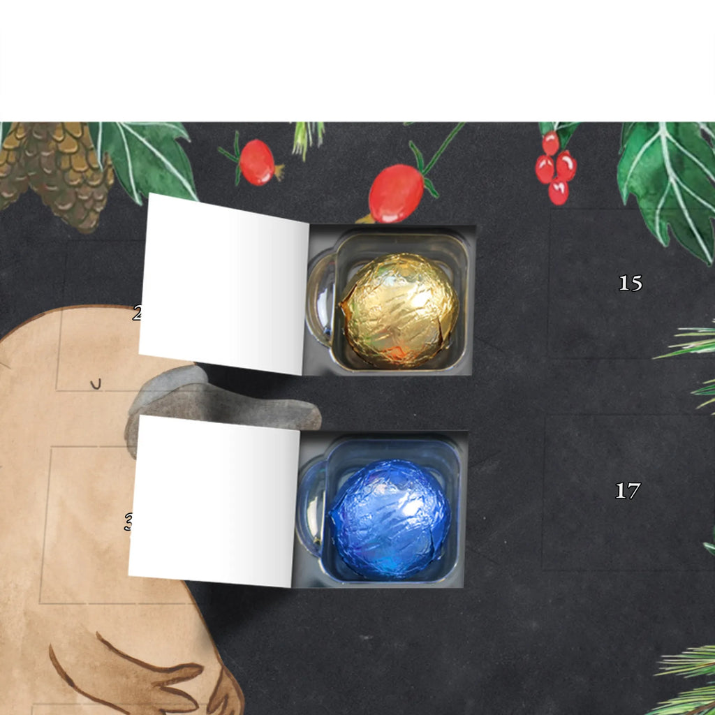 Chocolate advent calendar platypus courage manatee, vacation, aquatic animals, deep sea, underwater animals, seafood fans, underwater world, seafood posters, seafood decoration, whale, reef, water world, lobster, sea urchin, gift ideas, shrimp, narwhal, corals, gifts for seafood lovers, platypus, crocodile, shells, Seafood, ocean, work, Platypus, brave, new beginning, world trip, wisdom, courage, new start