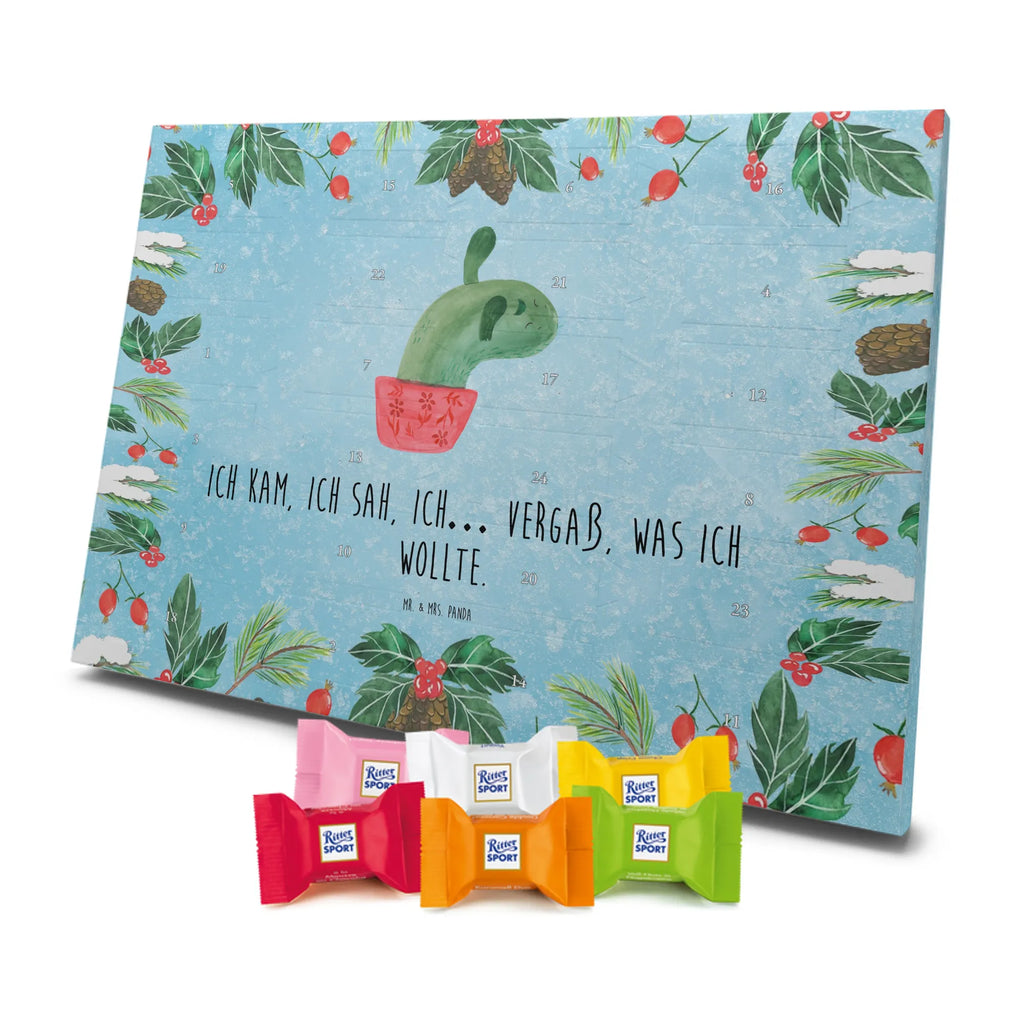 Chocolate advent calendar cactus mummy cactus, cactuses, plants, small green cactus, cactus plant, cactus love, cacti, office life, school, quota, annoyance