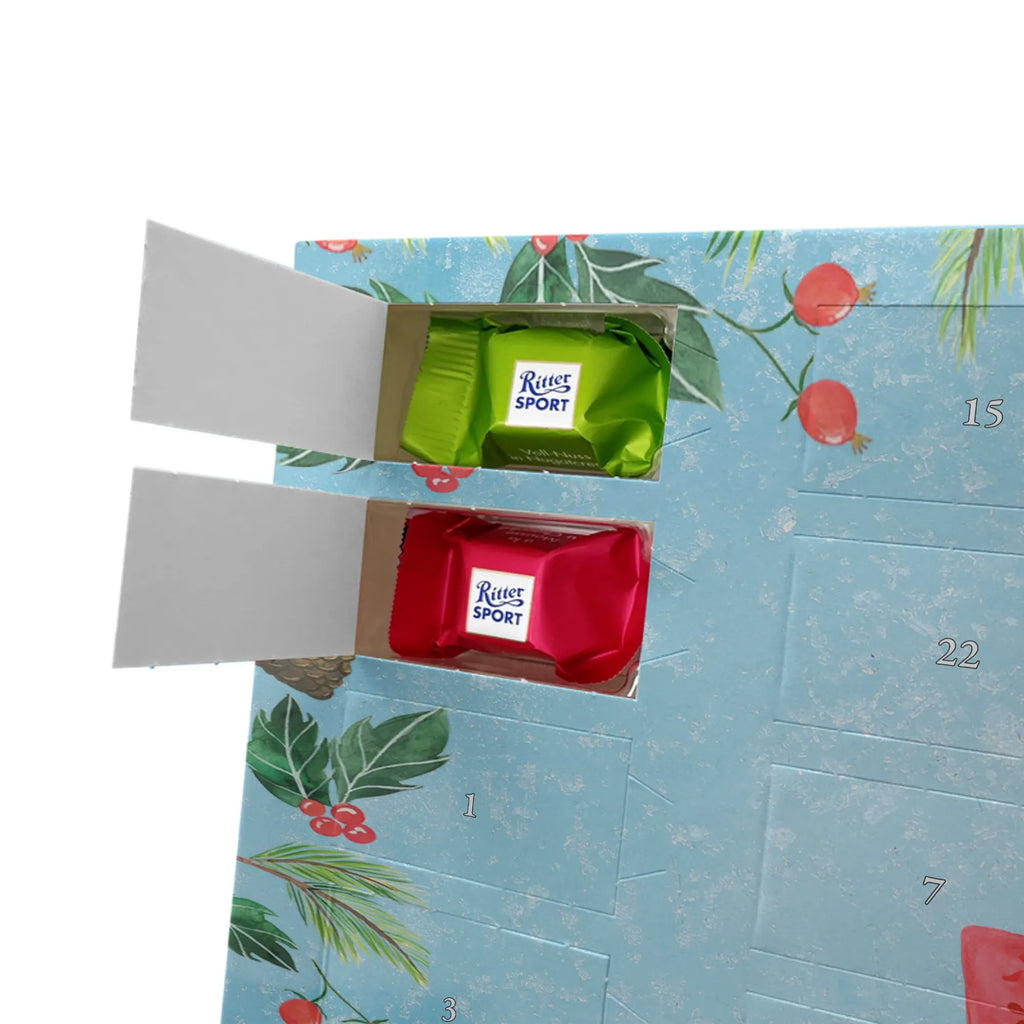 Chocolate advent calendar cactus mummy cactus, cactuses, plants, small green cactus, cactus plant, cactus love, cacti, office life, school, quota, annoyance