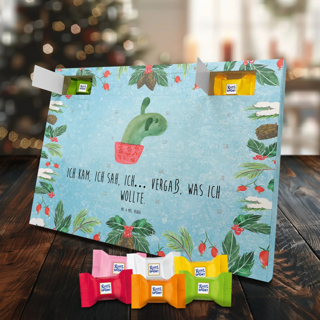 Chocolate advent calendar cactus mummy cactus, cactuses, plants, small green cactus, cactus plant, cactus love, cacti, office life, school, quota, annoyance