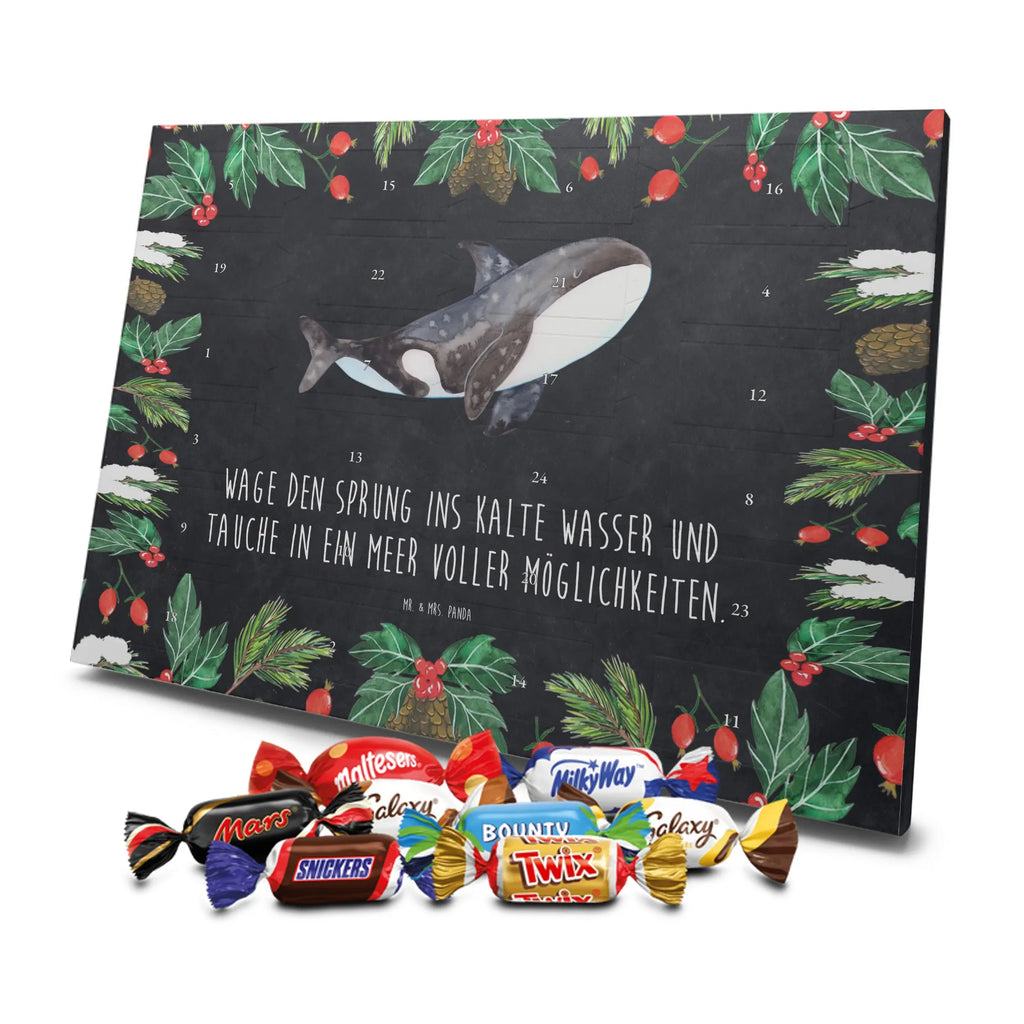Chocolate advent calendar Orca manatee, vacation, aquatic animals, deep sea, underwater animals, seafood fans, underwater world, seafood posters, seafood decoration, whale, reef, water world, lobster, sea urchin, gift ideas, shrimp, narwhal, corals, gifts for seafood lovers, platypus, crocodile, shells, Seafood, ocean, self-love, new start, work, killer whale, opportunities