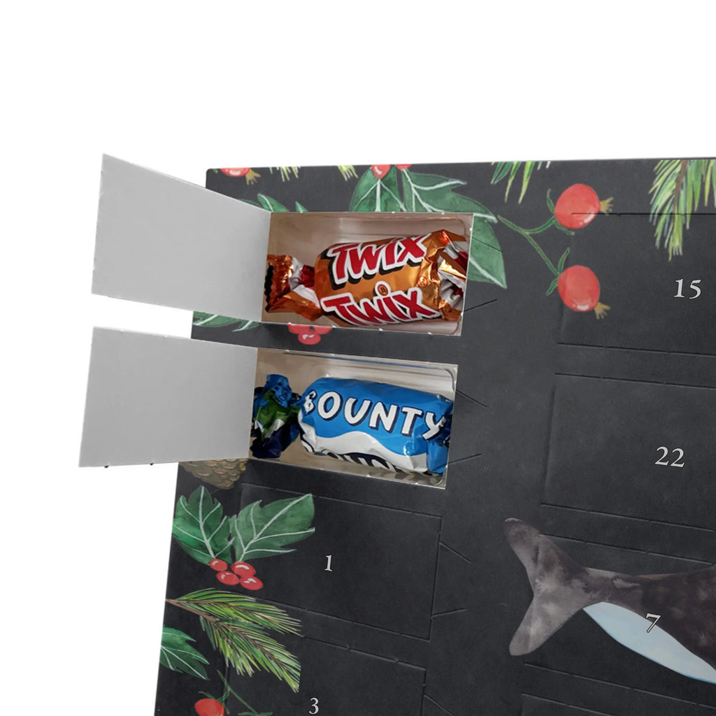 Chocolate advent calendar Orca manatee, vacation, aquatic animals, deep sea, underwater animals, seafood fans, underwater world, seafood posters, seafood decoration, whale, reef, water world, lobster, sea urchin, gift ideas, shrimp, narwhal, corals, gifts for seafood lovers, platypus, crocodile, shells, Seafood, ocean, self-love, new start, work, killer whale, opportunities