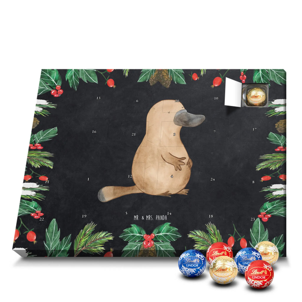 Chocolate advent calendar platypus courage manatee, vacation, aquatic animals, deep sea, underwater animals, seafood fans, underwater world, seafood posters, seafood decoration, whale, reef, water world, lobster, sea urchin, gift ideas, shrimp, narwhal, corals, gifts for seafood lovers, platypus, crocodile, shells, Seafood, ocean, work, Platypus, brave, new beginning, world trip, wisdom, courage, new start