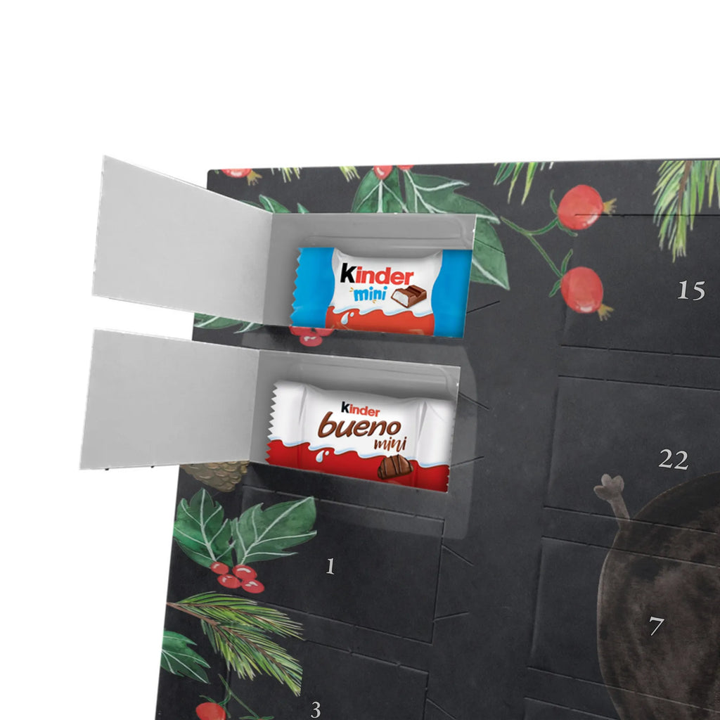 Chocolate advent calendar skunk handstand child, stink, playful, playground, wild animal, predator