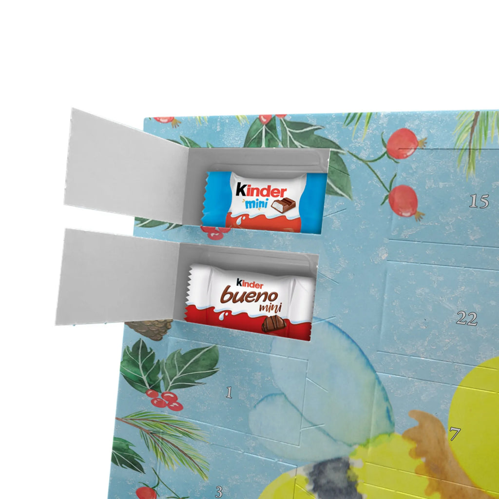 adventskalender süßigkeiten Biene Liebe Weihnachtskalender, schokoladenkalender, schoko weihnachtskalender, schokokalender, adventskalender schoko, Adventskalender, kalender weihnachten, Schokoladen-Weihnachtskalender, Adventskalender Schokolade, schokoladen kalender, schoko kalender, süßigkeiten kalender, schokolade adventskalender, Weihnachtskalender Schokolade, pralinen adventskalender, Schoko-Adventskalender, süßigkeiten adventskalender, Weihnachten Adventskalender, Schokoladen-Adventskalender, Weihnachts Kalender, adventskalender süßigkeiten, adventskalender pralinen, Schokoladen Adventskalender, Schoko Adventskalender, weihnachtskalender schoko, kalender schokolade, Wespe, Biene, Hummel