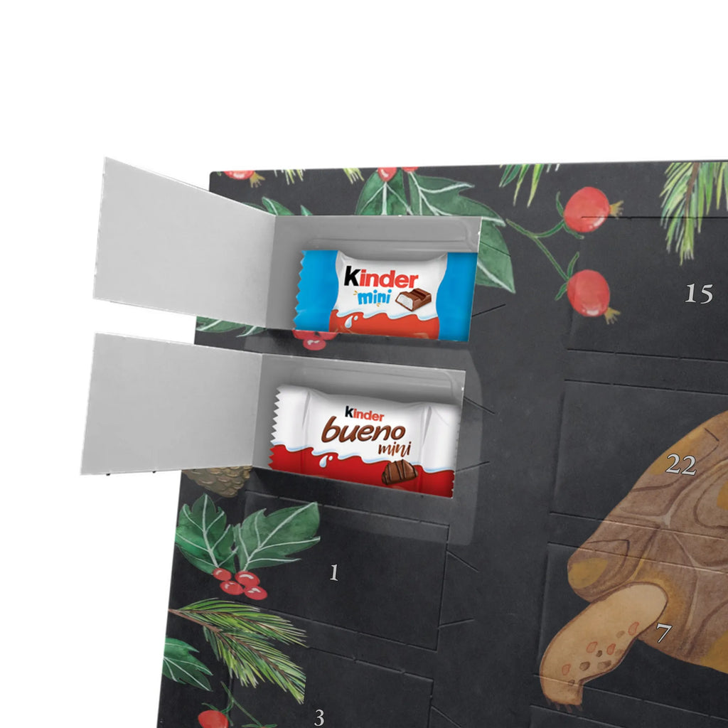 Schokoladen-Weihnachtskalender Schildkröte Marschieren Weihnachten Adventskalender, adventskalender schoko, Schoko Adventskalender, Weihnachtskalender Schokolade, Weihnachts Kalender, schokoladenkalender, Schokoladen-Weihnachtskalender, Schokoladen Adventskalender, süßigkeiten adventskalender, schoko weihnachtskalender, schokolade adventskalender, kalender schokolade, Adventskalender Schokolade, pralinen adventskalender, schokoladen kalender, kalender weihnachten, Weihnachtskalender, süßigkeiten kalender, adventskalender süßigkeiten, schoko kalender, Schokoladen-Adventskalender, Adventskalender, weihnachtskalender schoko, adventskalender pralinen, Schoko-Adventskalender, schokokalender, Meerestiere, Urlaub, Meer, Schildkröte, Get Lost, Lieblingsmensch, Inspiration, Reiselust, Abenteuer, Schildkröten, Neustart, Motivation