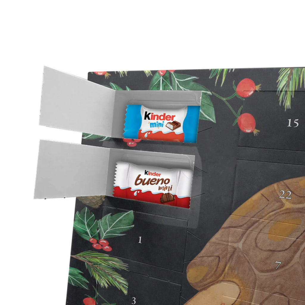 Schokoladen-Weihnachtskalender Schildkröte Marschieren Weihnachten Adventskalender, adventskalender schoko, Schoko Adventskalender, Weihnachtskalender Schokolade, Weihnachts Kalender, schokoladenkalender, Schokoladen-Weihnachtskalender, Schokoladen Adventskalender, süßigkeiten adventskalender, schoko weihnachtskalender, schokolade adventskalender, kalender schokolade, Adventskalender Schokolade, pralinen adventskalender, schokoladen kalender, kalender weihnachten, Weihnachtskalender, süßigkeiten kalender, adventskalender süßigkeiten, schoko kalender, Schokoladen-Adventskalender, Adventskalender, weihnachtskalender schoko, adventskalender pralinen, Schoko-Adventskalender, schokokalender, Meerestiere, Urlaub, Meer, Schildkröte, Get Lost, Lieblingsmensch, Inspiration, Reiselust, Abenteuer, Schildkröten, Neustart, Motivation