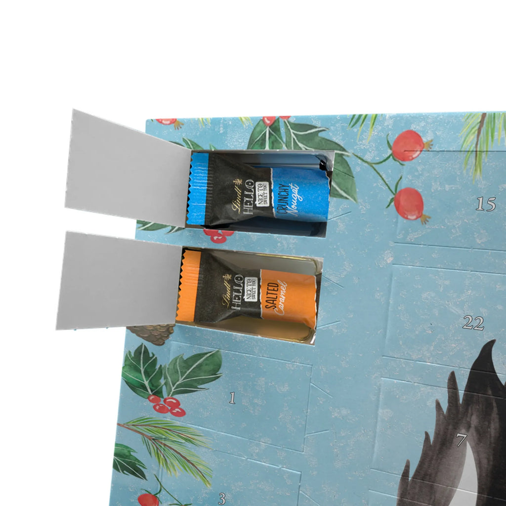 Chocolate advent calendar skunk Girl Laugh, Predator, Wild animal, Stinky, Live