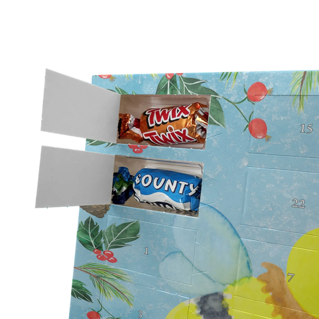 adventskalender süßigkeiten Biene Liebe Weihnachtskalender, schokoladenkalender, schoko weihnachtskalender, schokokalender, adventskalender schoko, Adventskalender, kalender weihnachten, Schokoladen-Weihnachtskalender, Adventskalender Schokolade, schokoladen kalender, schoko kalender, süßigkeiten kalender, schokolade adventskalender, Weihnachtskalender Schokolade, pralinen adventskalender, Schoko-Adventskalender, süßigkeiten adventskalender, Weihnachten Adventskalender, Schokoladen-Adventskalender, Weihnachts Kalender, adventskalender süßigkeiten, adventskalender pralinen, Schokoladen Adventskalender, Schoko Adventskalender, weihnachtskalender schoko, kalender schokolade, Wespe, Biene, Hummel