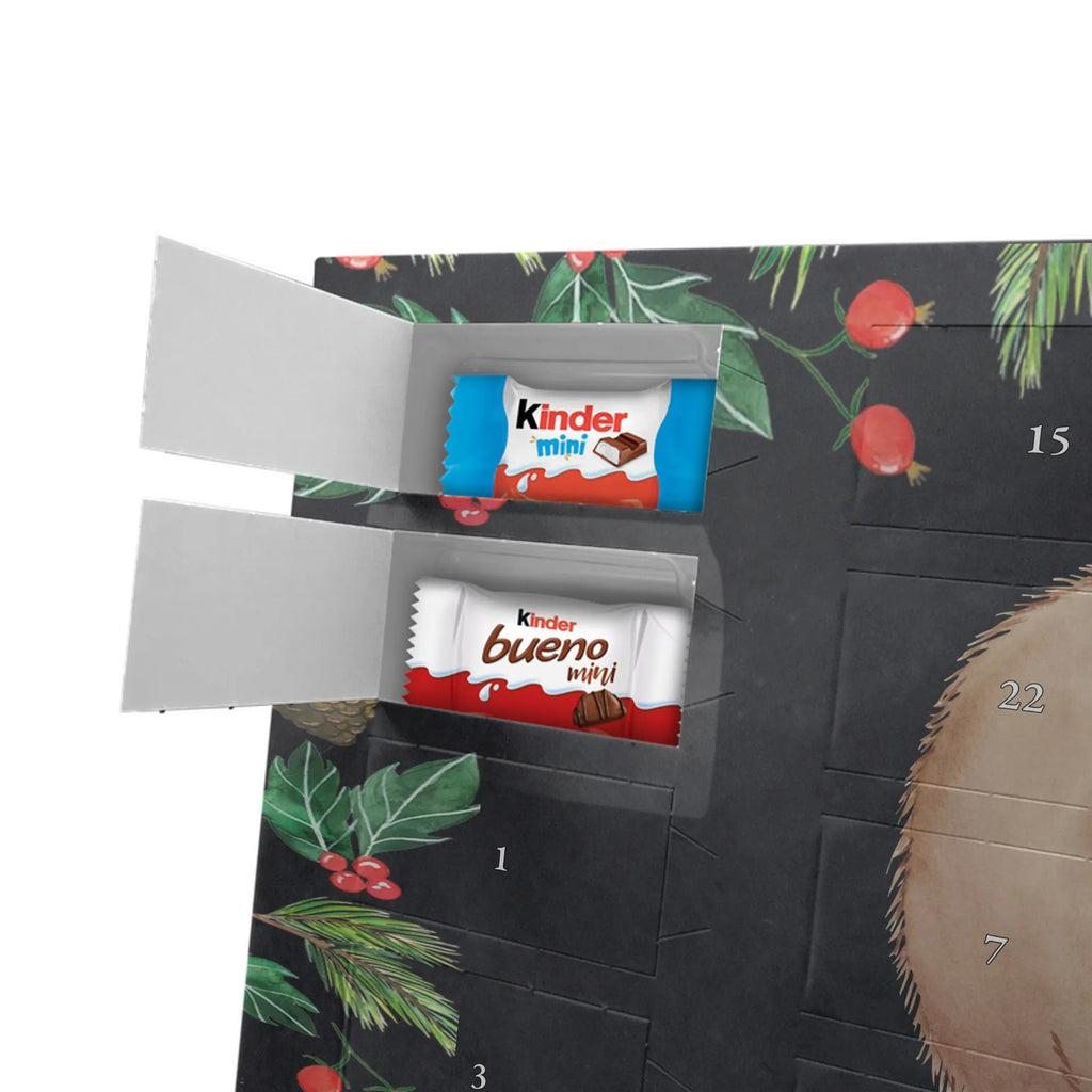 Chocolate advent calendar Wombat gift ideas, gifts, small animals, good mood, cute, funny sayings, cute animal motives, hand drawn, special gifts, card, animal lover, saying, life is beautiful, Australia