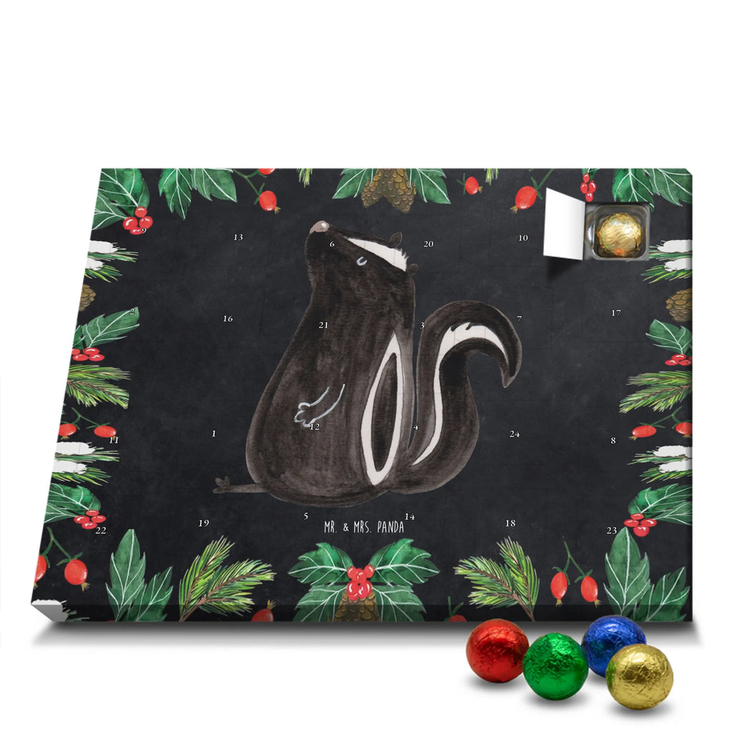 Chocolate advent calendar skunk Sit stinky, law, know-it-all, wild animal, predator