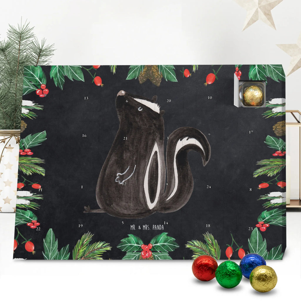 Chocolate advent calendar skunk Sit stinky, law, know-it-all, wild animal, predator
