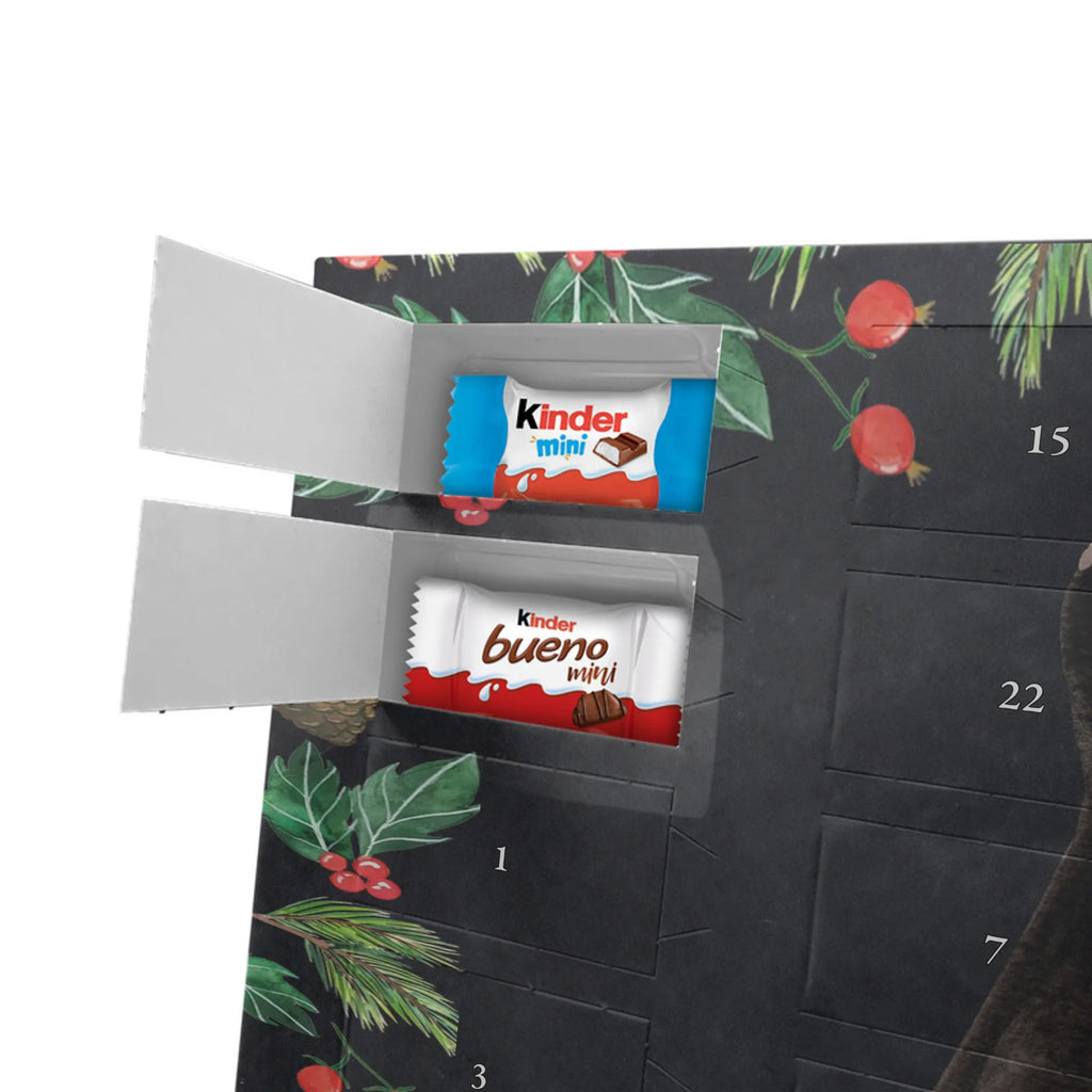 Chocolate advent calendar skunk Sit stinky, law, know-it-all, wild animal, predator