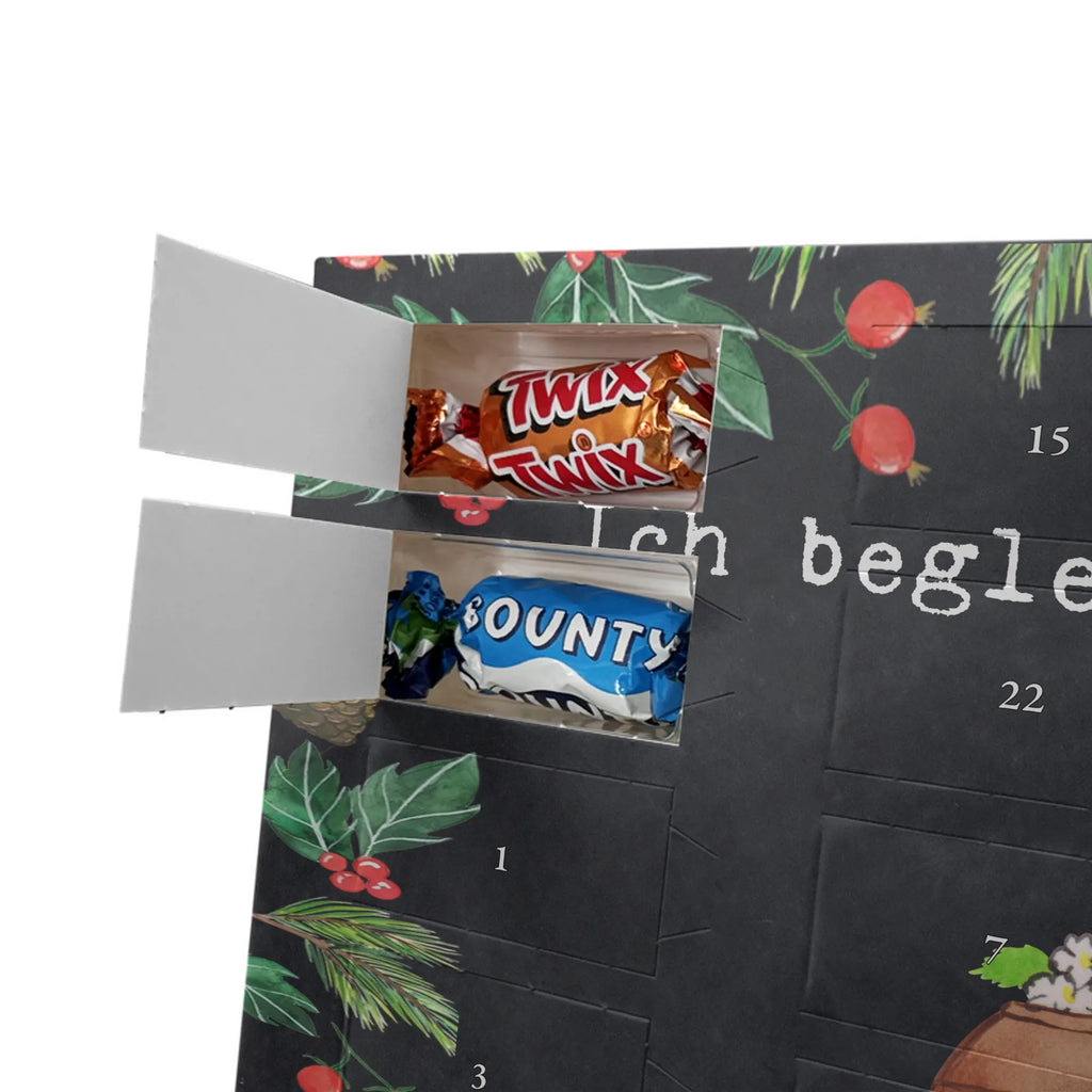 Adventskalender Bestatter Leidenschaft Adventskalender Schokolade, schokokalender, adventskalender mit süßigkeiten, adventskalender süßigkeiten, schoko kalender, schokoladenkalender, Schokoladen Adventskalender, adventskalender mit pralinen, Weihnachtskalender Schokolade, advent kalender, schokolade adventskalender, kalender schokolade, adventskalender mit schokolade, süßigkeiten adventskalender, Weihnachtskalender, adventskalender pralinen, weihnachtskalender schoko, schokoladen kalender, Schoko Adventskalender, Adventskalender, schoko weihnachtskalender, pralinen adventskalender, süßigkeiten kalender, Danke, Geschenk, Firma, Dankeschön, Schenken, Kollegin, Beruf, Kollege, Ausbildung, Rente, Arbeitskollege, Abschied, Jubiläum, Mitarbeiter