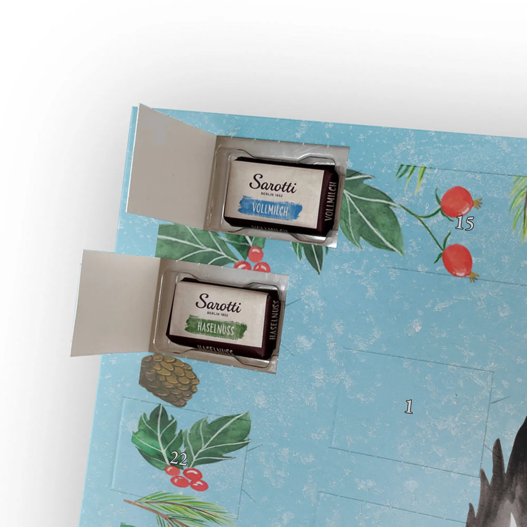 Chocolate advent calendar skunk Girl Laugh, Predator, Wild animal, Stinky, Live