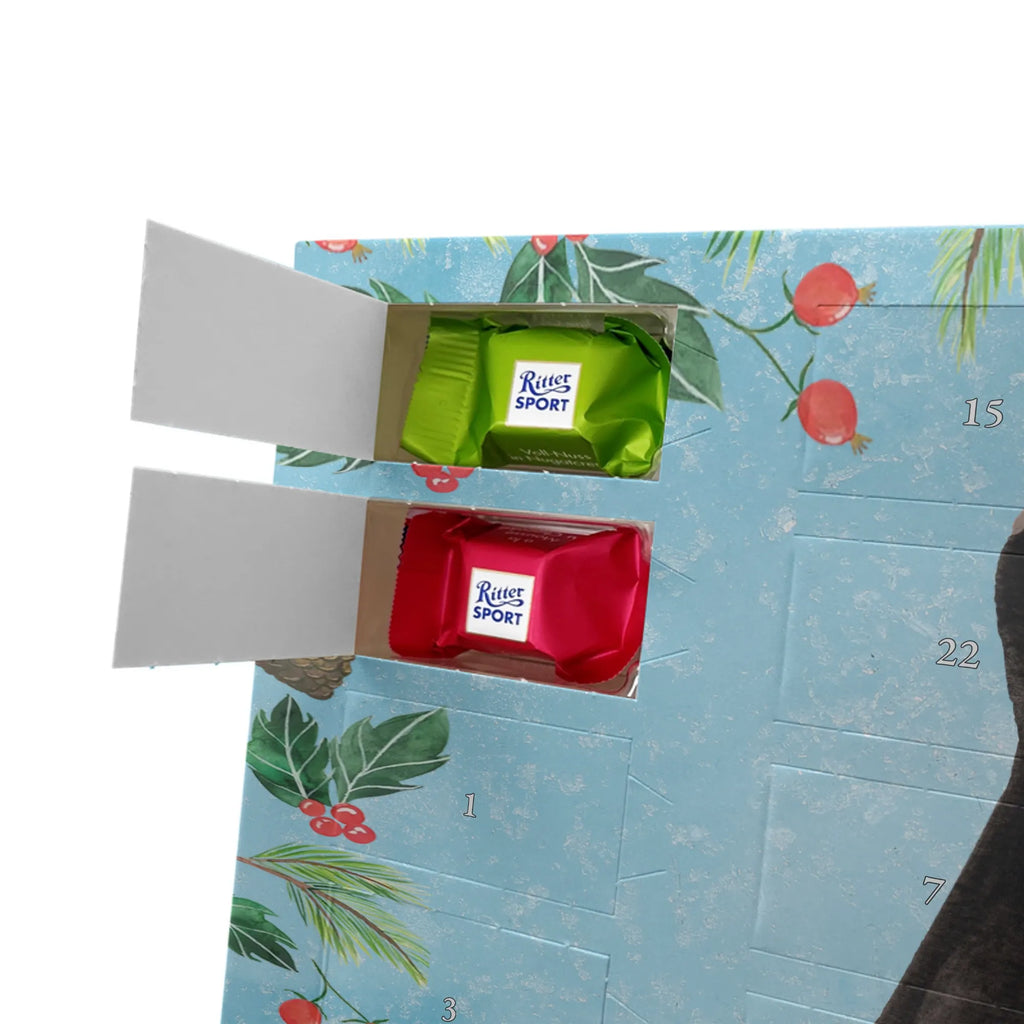 Chocolate advent calendar skunk Sit stinky, law, know-it-all, wild animal, predator