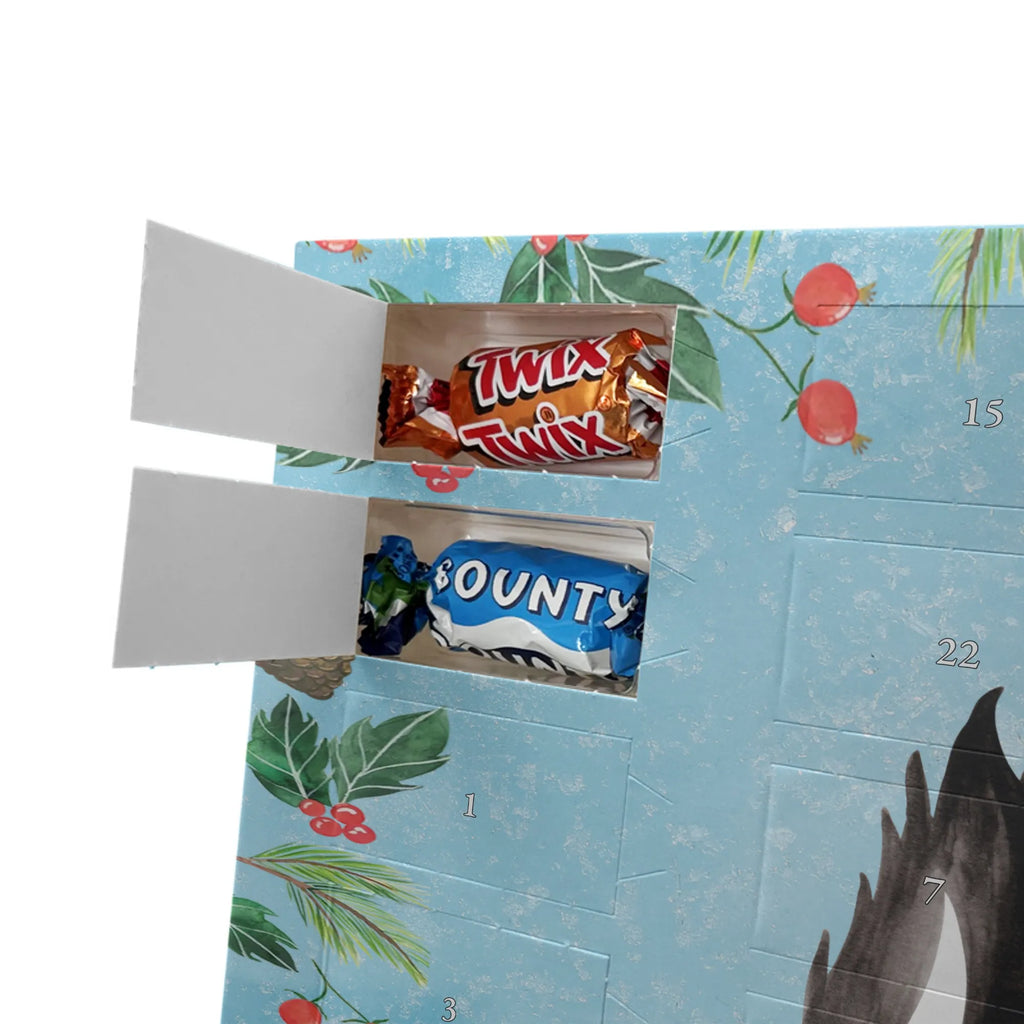 Chocolate advent calendar skunk Girl Laugh, Predator, Wild animal, Stinky, Live