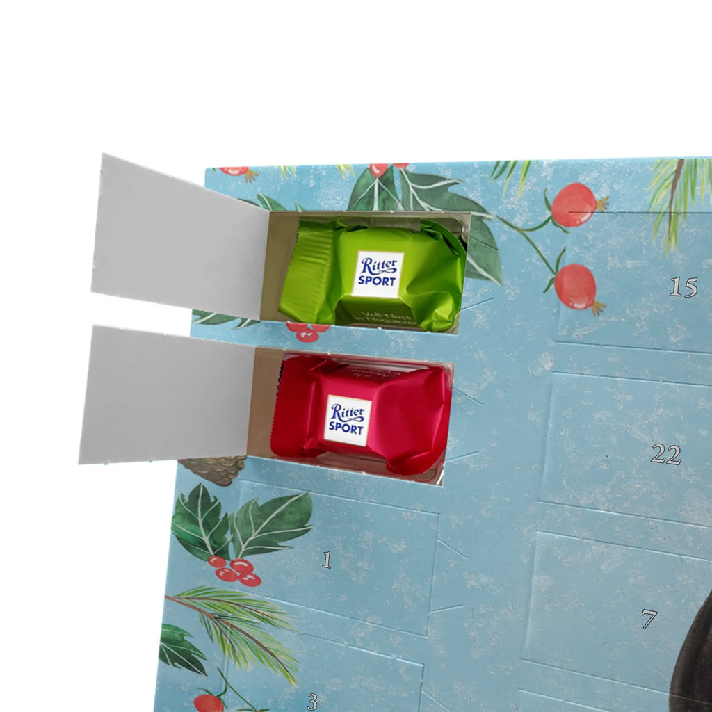 Chocolate advent calendar skunk Sit stinky, law, know-it-all, wild animal, predator