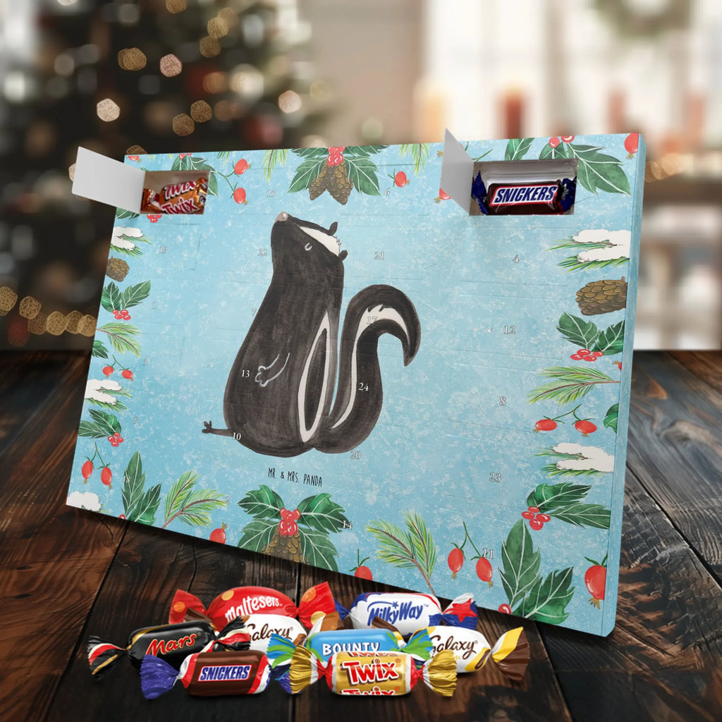 Chocolate advent calendar skunk Sit stinky, law, know-it-all, wild animal, predator