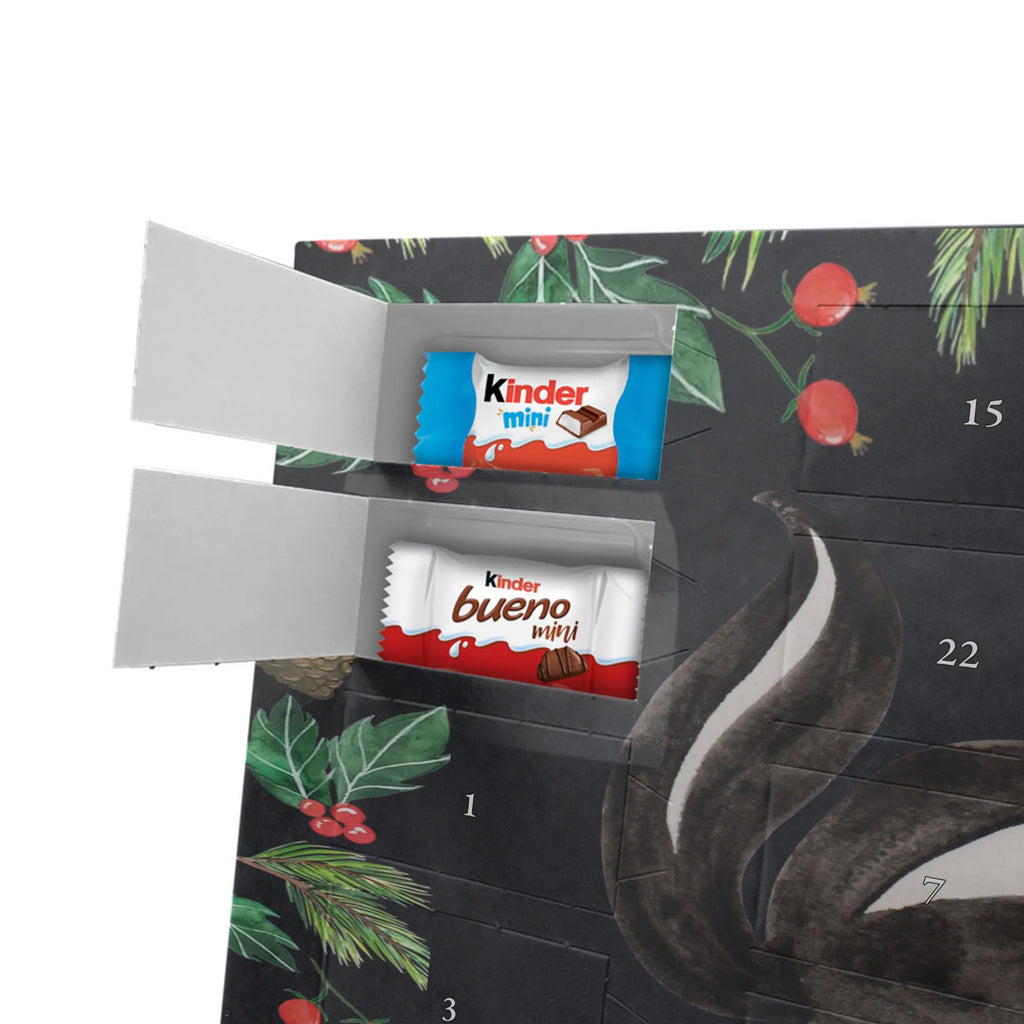 Chocolate advent calendar skunk yoga Stinky, Predator, Live, Wild animal, Laugh