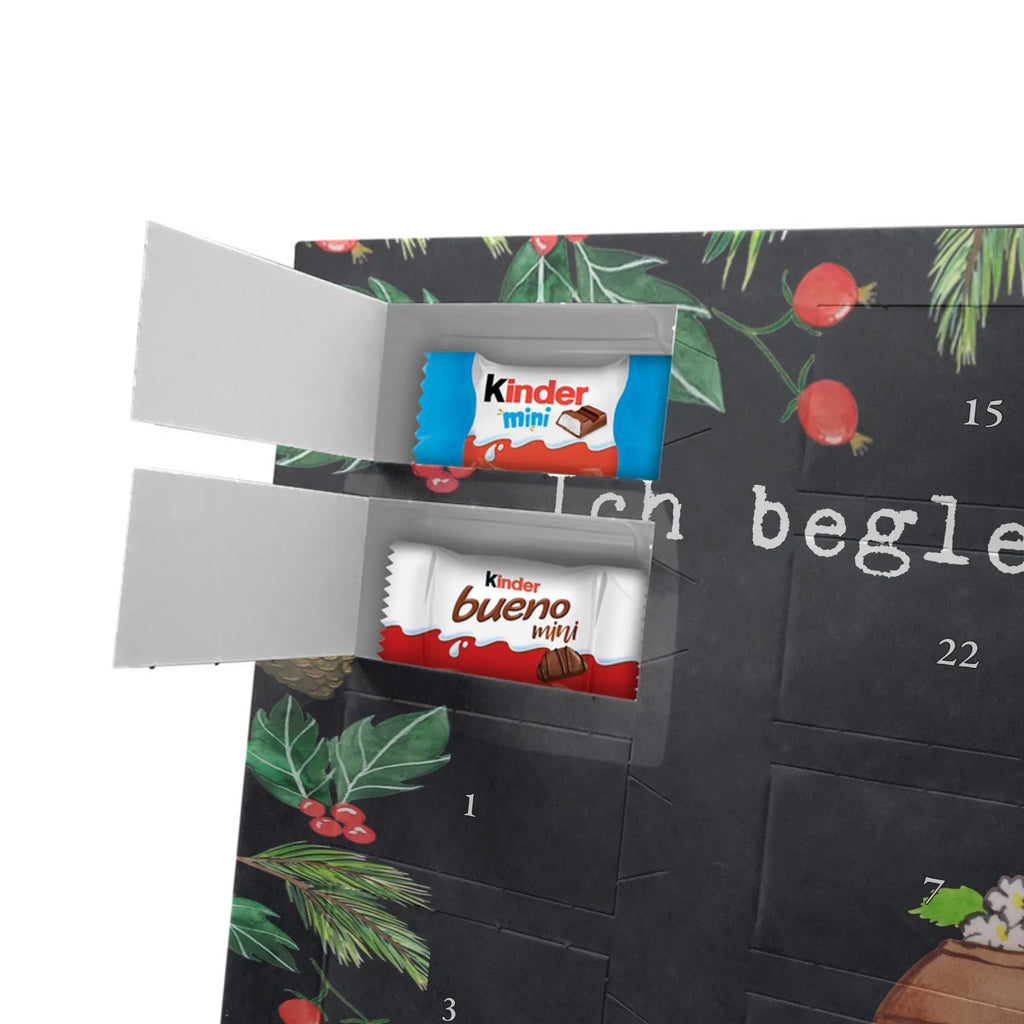 Adventskalender Bestatter Leidenschaft Adventskalender Schokolade, schokokalender, adventskalender mit süßigkeiten, adventskalender süßigkeiten, schoko kalender, schokoladenkalender, Schokoladen Adventskalender, adventskalender mit pralinen, Weihnachtskalender Schokolade, advent kalender, schokolade adventskalender, kalender schokolade, adventskalender mit schokolade, süßigkeiten adventskalender, Weihnachtskalender, adventskalender pralinen, weihnachtskalender schoko, schokoladen kalender, Schoko Adventskalender, Adventskalender, schoko weihnachtskalender, pralinen adventskalender, süßigkeiten kalender, Danke, Geschenk, Firma, Dankeschön, Schenken, Kollegin, Beruf, Kollege, Ausbildung, Rente, Arbeitskollege, Abschied, Jubiläum, Mitarbeiter