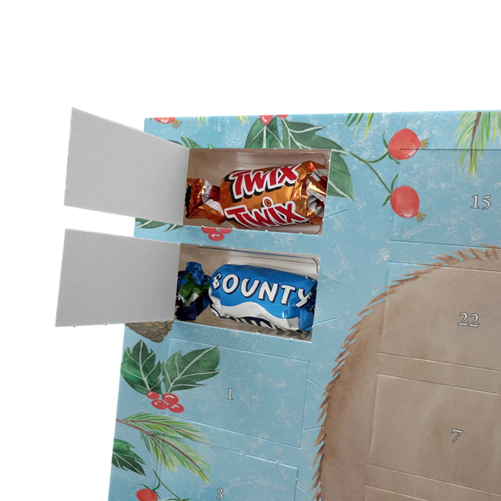 Chocolate advent calendar Wombat gift ideas, gifts, small animals, good mood, cute, funny sayings, cute animal motives, hand drawn, special gifts, card, animal lover, saying, life is beautiful, Australia