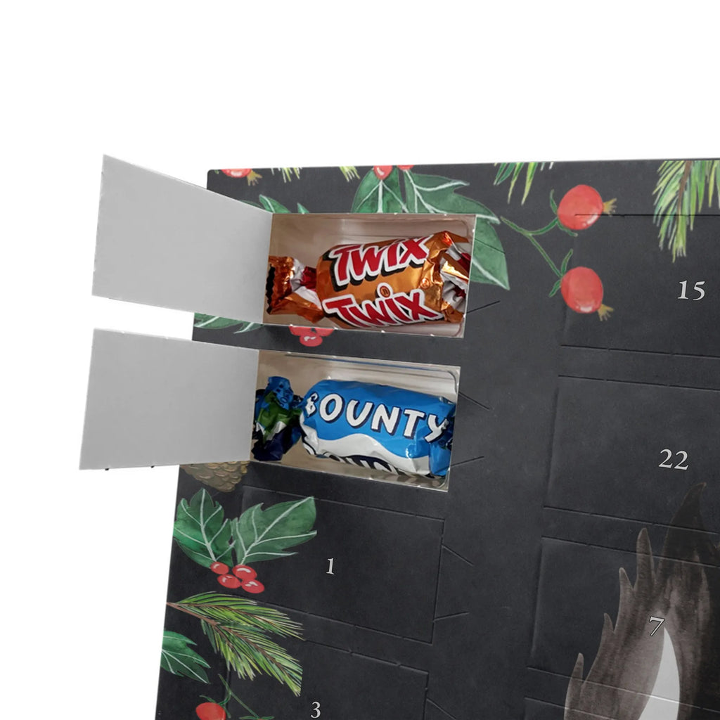 Chocolate advent calendar skunk Girl Laugh, Predator, Wild animal, Stinky, Live