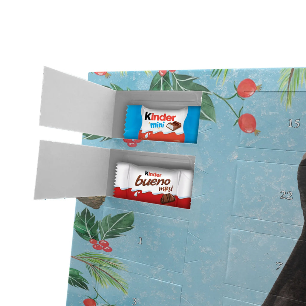 Chocolate advent calendar skunk Sit stinky, law, know-it-all, wild animal, predator